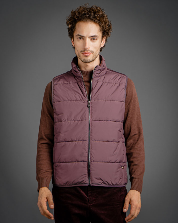 Жилет мужской DTMD 2018 NAVY/PLUM/OLIVE (слива), фото